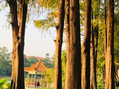 -肥妹烧腊店(洪湖店)