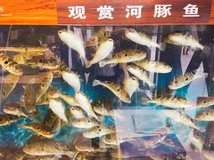 景观位-肆月河豚·新淮扬(金融街店)