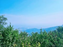 -香山公园