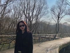 -西湖风景区-江洋畈生态公园