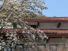 -中国茶叶博物馆(双峰馆区)