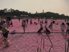 -大塘金香草谷