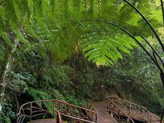 -海南热带雨林国家公园吊罗山景区