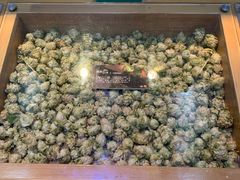 -青岛葡萄酒博物馆