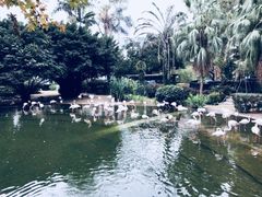 -九龙公园