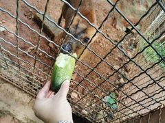 -昆明动物园