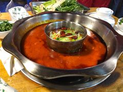 -金鼎雪山牦牛杂火锅(理县总店)