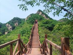 -大岭沟猕猴桃谷风景区
