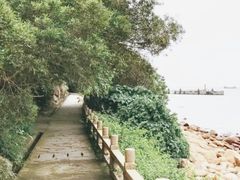-东澳岛