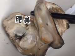 -蚝专家(北滘店)