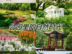 -海淀公园