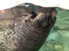 -厦门海底世界