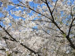 -北京植物园-展览温室