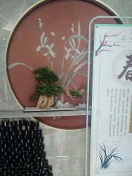 -雅曼妮spa美容养生