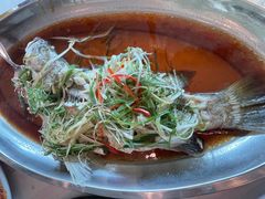 -光海鲜鱼翅餐厅(叻差拉披色路店)