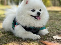 -钟山体育运动公园