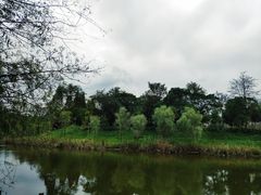 -黄海国家森林公园