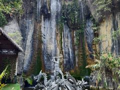 -西双版纳原始森林公园