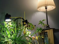 -默迹咖啡馆
