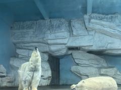 -泉城欧乐堡海洋极地世界