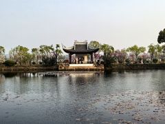 -无锡蠡湖国家湿地公园-蠡园