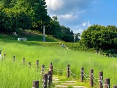 -红花山公园