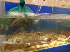 -鱼市酒店(威海水产批发市场店)