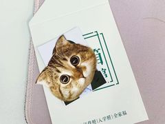 -白箱照相馆·外拍