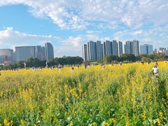 -光明小镇欢乐田园