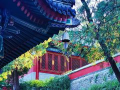 -北京西山国家森林公园