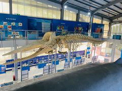 -上海海洋大学鱼文化博物馆(军工路校区)