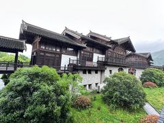 -大唐贡茶院