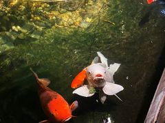 -聚缘堂·海鲜私房菜(松岭路店)