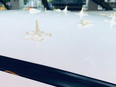 -全家便利店(中原二店)