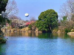 -西溪国家湿地公园