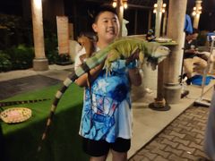-清迈夜间动物园