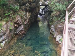 -大奇山国家森林公园
