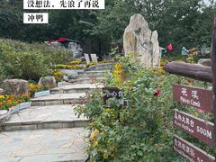 -北京西山国家森林公园