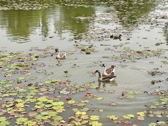 -西安浐灞国家湿地公园