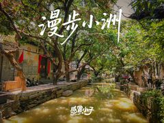 -小洲村