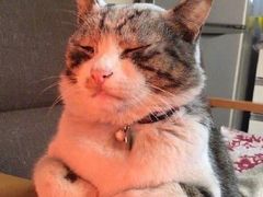 -陳八两面家(滨江天街店)