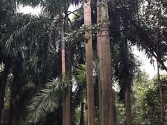 -南宁南湖公园