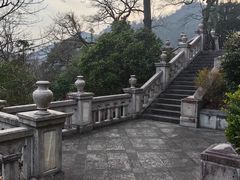 -天目山大树王景区