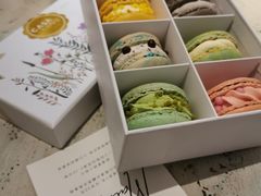 -T館·花园艺术餐厅