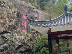 -水濂山森林公园