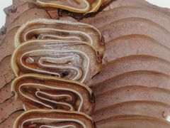 -小八仙·宴(三峡茶庄店)