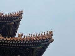 -故宫博物院(故宫)