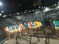 android_upload_pic-吉林省自然博物馆