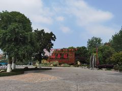 -合肥滨湖国家森林公园