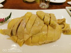 白斩鸡-顺风海鲜港(金玉兰店)
